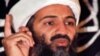 Warbixinno Dilka Osama Bin Laden