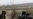 US Senators Advocate No-Fly Zone Over Libya