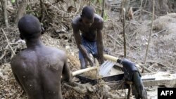 Wachimbaji haramu wa migodi kaika kambi ya Dark Forest Liberia