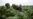 After Unusual Weather, Cuba Struggles to Save Prized Tobacco Crop