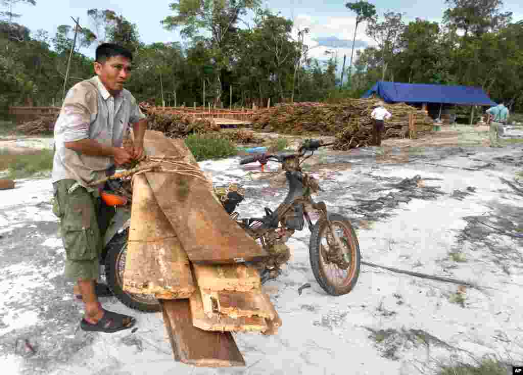 ຊາວບ້ານຄົນນຶ່ງ ເອົາໄມ້ໄປຂາຍໃຫ້ບໍລິສັດຕັດໄມ້ ຂະນະທີ່ເຈົ້າໜ້າທີ່ ສືບສວນຂອງສະຫະປະຊາຊາດສອງຄົນ ສໍາຫລວດເບິ່ງພື້ນທີ່ຢູ່ທາງຫລັງ. (Kong Sothanarith/VOA)