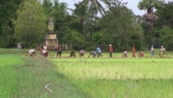 New Cambodia Party Aims to Build Political Trust in Countryside