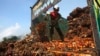 Seorang pekerja menurunkan buah kelapa sawit di pabrik pengolahan kelapa sawit di Lebak, Indonesia, 19 Juni 2012. (Foto: Dok/AP)