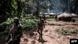 Des soldats des Forces armées de la République démocratique du Congo (FARDC) traversent une base ennemie récemment capturée le long de la ligne de front le 4 juillet 2019 dans la forêt de Wagu, dans l'est de la RDC. (Photo de John WESSELS / AFP)