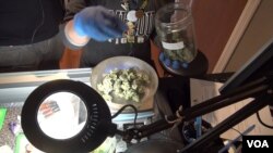Buying marijuana in Colorado is an ordinary and legal transaction
