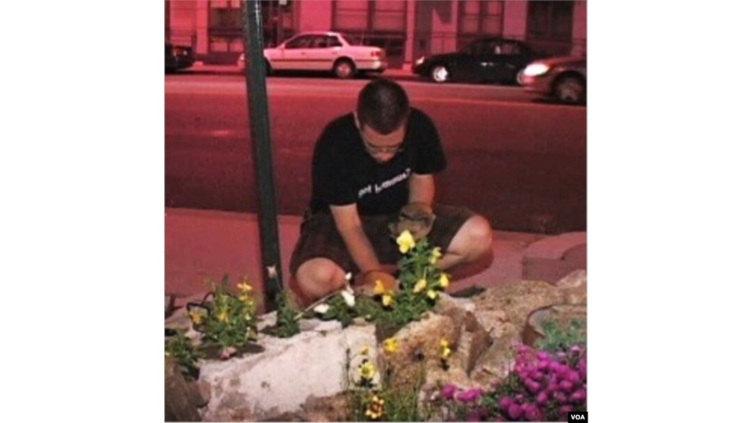 Seorang "gerilyawan" menanam bunga di salah satu sudut kota Washington DC.