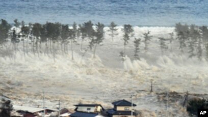 Seisme Et Tsunami Meurtriers Dans Le Nord Est Du Japon