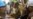 UN Short on Funds to Feed 600,000 in CAR