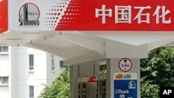 中石化加油站(资料照片)