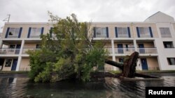 Un árbol caído y una inundación rodean el estacionamiento de un hotel tras el paso del huracán Dorian en Wilmington, Carolina del Norte, el viernes, 6 de spetiembre, de 2019.