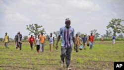 Senegalese farmers (File Photo).