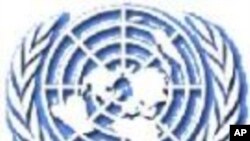 U.N. Committee Rebukes Iran
