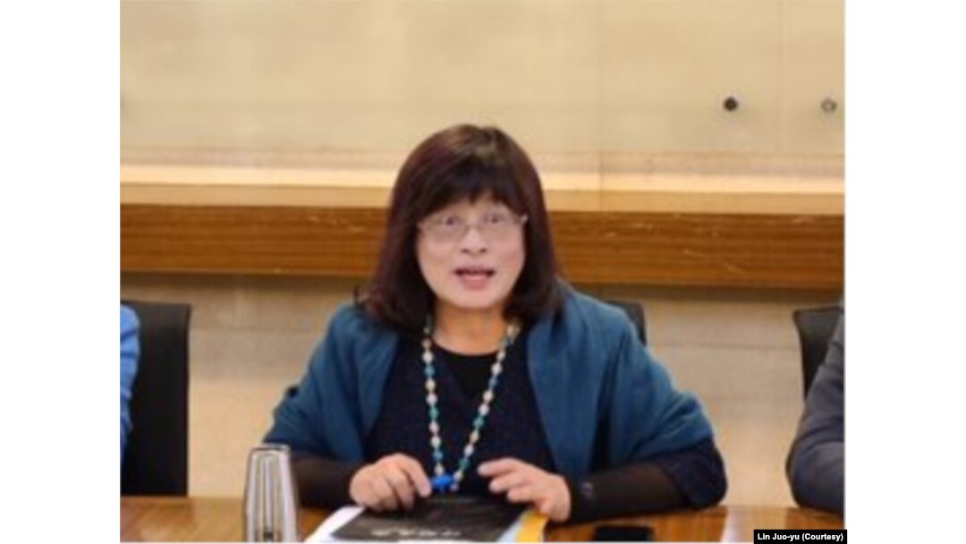 台湾东南亚与南亚协会理事长林若雩（林若雩提供）