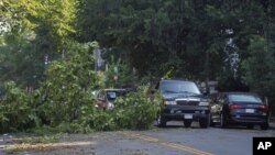 A fallen tree blocks one lane of traffic on 13th Street NW in the Logan Circle neighborhood of Washington, Saturday, June 30, 2012.