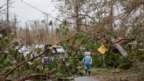Một địa điểm ở thành phố Panama, bang Florida sau khi bão Michael quét qua (ngày 10/10/2018)
