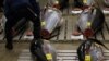Jepang Kurangi Penangkapan Tuna