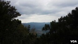 Part of Vietnam’s strategy to reduce carbon emissions is to promote reforestation, such as in the Central Highlands town of Da Lat. (VOA) 