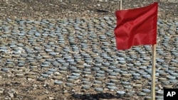 A red flag, a sign of danger, is placed by landmines removed by the Libyan army to be destroyed later, during an operation to clear a landmine field near the coastal and border city of Tubruq, Libya, June 7, 2008 (file photo)