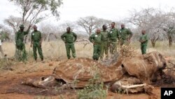 FILE - Kenyan Wildlife Rangers are seen standing near the carcass of an elephant in Tsavo East, Kenya, in this June 19, 2014, photo. 