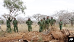 FILE - Kenyan Wildlife Rangers standing near the carcass of an elephant in Tsavo East, Kenya, in this June 19, 2014, photo. 