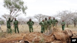 Gardes-chasse kenyans près d'une carcasse d'éléphant à Tsavo Est, au Kenya, en juin 2014. (AP Photo/Khalil Senosi)