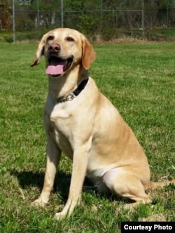 Summer has retired from the military and now works to keep train travel safe.