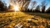 Quiz - Over 150 Years Later, Lincoln's Words at Gettysburg Still Have Meaning