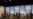 VOA and Newseum Host Discussion about Police, Cameras and the Constitution