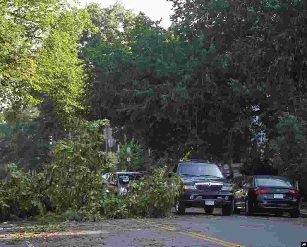 A fallen tree blocks one lane of traffic on 13th Street NW in the Logan Circle neighborhood of Washington, Saturday, June 30, 2012.