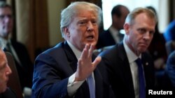 U.S. President Donald Trump holds a cabinet meeting at the White House in Washington, April 9, 2018. 