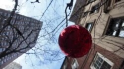 Арт-ужины в Нью-Йорке 