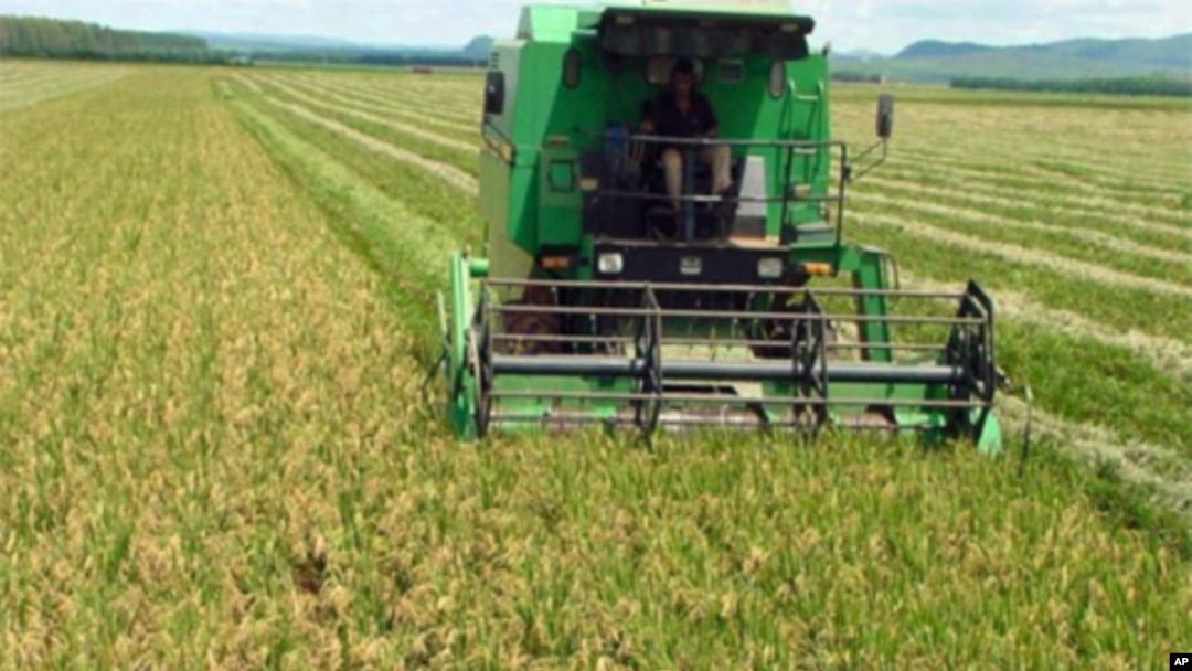 Exploração agrícola em Malanje (foto de arquivo VOA / Isaias Soares)