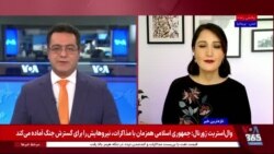 بازداشت بلاگری که با «بریم نجف» ویدیوی کمک به حیوانات ساخت 
