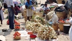 Udaba Esilethulelwe NguBenedict Nhlapho