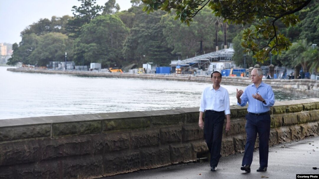 Presiden Joko Widodo dan PM Australia Malcolm Turnbull melakukan jalan pagi bersama di Royal Botanic Garden di Sydney, Minggu (26/2). (Foto: Setpres RI)