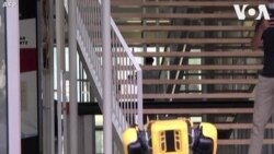 رباتی به شکل و انعطاف یک سگ در فرانسه