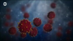 Чем новый коронавирус отличается от обычного гриппа?