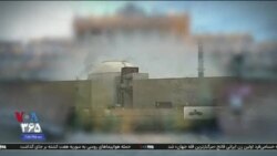 اخبار شامگاهی