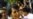 Burma's Aung San Suu Kyi to Speak to US Congress Via Video