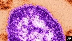 Measles Case West Virginia