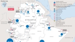 ኣብ ከተማ ዳባት ሓደ ኤርትራዊ ስደተኛ ዝርከቦም ክልተ ሰባት ተቐቲሎም