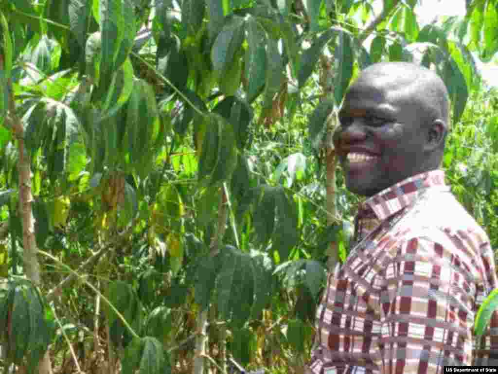 Investing in Agricultural Research and Development – Field evaluation of virus-resistant cassava plants in Uganda USAID (Photo: USAID)