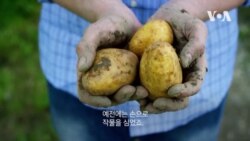 [미국을 만나다] '감자의 고장' 아이다호