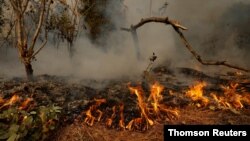 Destrucción mortal en la Costa Oeste 