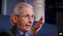 Dr. Anthony Fauci, director of the National Institute of Allergy and Infectious Diseases, speaks about the coronavirus in the James Brady Press Briefing Room at the White House, April 13, 2020, in Washington.