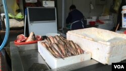 Arhiva - Rečna riba kečiga, primerci manji od 40 centimetara koje nije dozvoljeno loviti, na Zemunskoj pijaci u naselju Zemun, Beograd. (Foto: Aleksandra Nenadović, Glas Amerike)