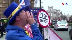 Britaniyalı etirazçılar Brexitlə bağlı səsvermə tələb edir