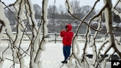 La niebla de Great Falls ha creado un paraíso helado alrededor de las cascadas en Paterson, Nueva Jersey, el jueves 18 de enero de 2024.