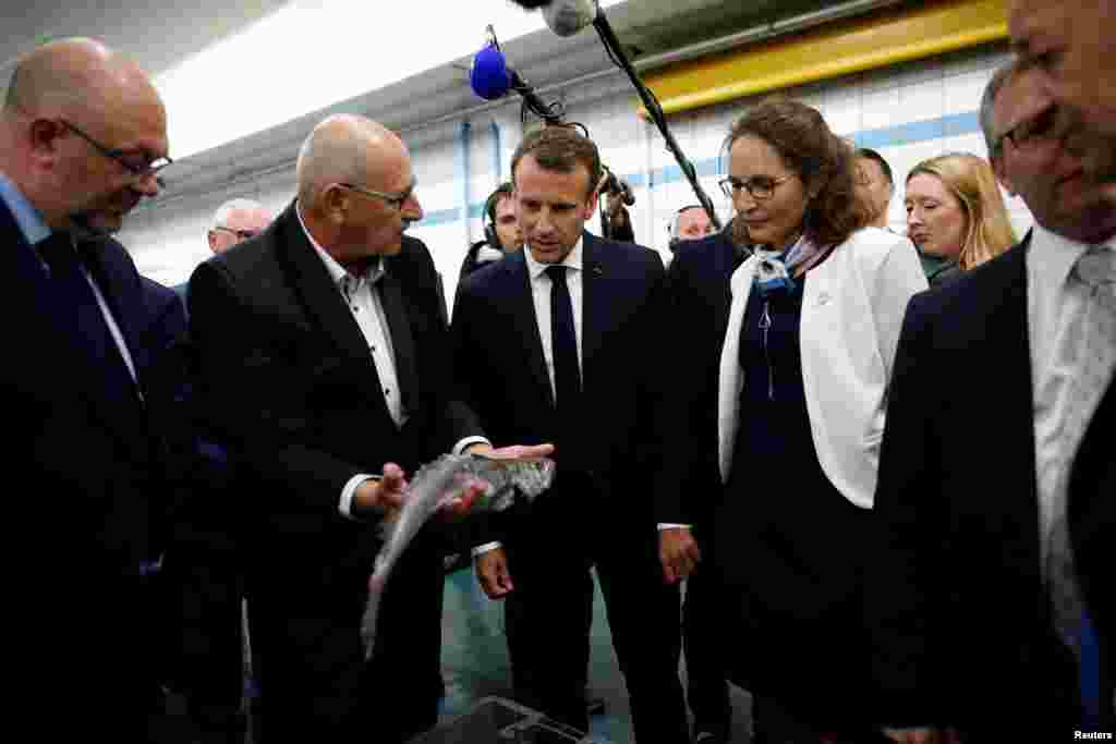 بازدید امانوئل ماکرون، رئیس جمهوری فرانسه از بازار ماهی فروشان در فرانسه &nbsp;