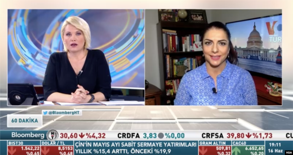 Dilge Timoçin - Virginia